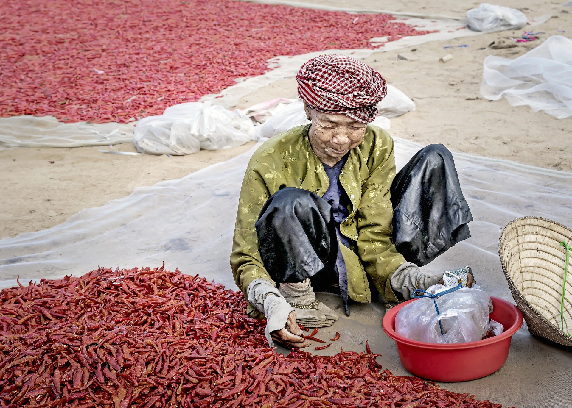 Chi tiết khóa học